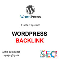 Wordpress Backlink